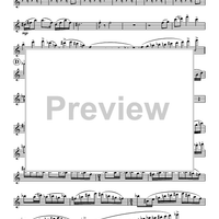 The Frog and the Golden Ball - Flute