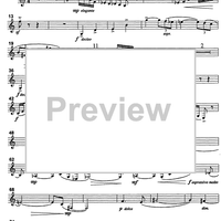 Concerto - B-flat Clarinet/Basset Horn 3