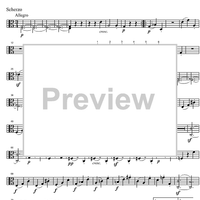 String Quintet C Major Op.29 - Viola 2