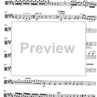 Carmen pro carmine - aria con variazioni - Viola