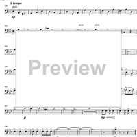 Argentinian Rhapsody - Double Bass