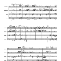 Allegro Maestoso - Score