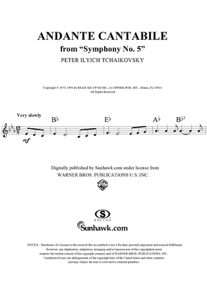 Symphony No. 5 in E minor (e-moll). Movement II (Theme)