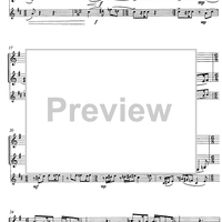 Volo Vienna - Parigi - N.Y.