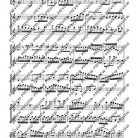 Duo concertant C major - Performing Score