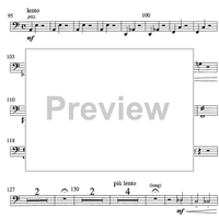 Sylvie et le paon - Cello