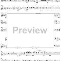 Quintet in C Minor - Flute