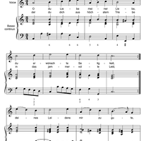 O du Liebe meiner Liebe