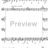 Il Trovatore Op. 8 No.27