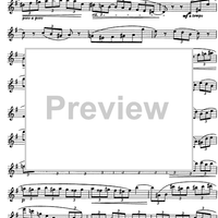 The Accomplished Clarinettist Vol. 1 - Clarinet