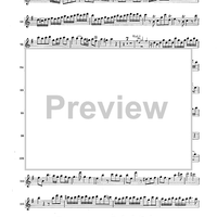 Double Concerto for Recorder and Flute in E minor - Flauto Dolce (Recorder)