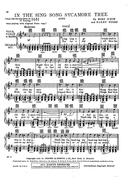 In The Sing Song  Sycamore Tree