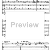 Contrabbasso concertante - Score