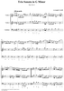 Trio Sonata in G Minor, op. 2, no. 6