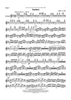 Instinct - Flute 2