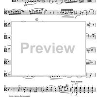 Am Wege zum Licht - Viola