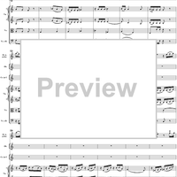 Andante in C Major K285e (K315) - Full Score