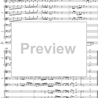 Brandenburg Concerto No. 3: Movement 1 - Score