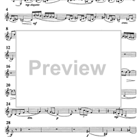 Sonata da camera No. 1 ... meditation and nocturnes - B-flat Bass Clarinet