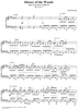 Lyric Pieces Book 10, op. 71, no. 4: Silence of the Woods