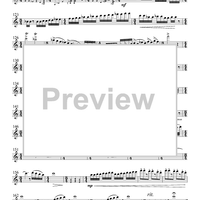 Sonata for Flute and Piano - Flute