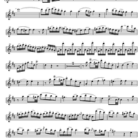 Concerto No. 2 C Major KV314 - Flute