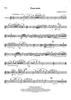 Panoramic - Flute