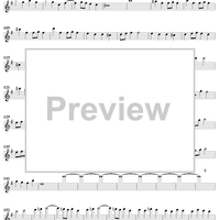 Concerto in E Minor for Recorder and Flute