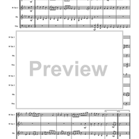 Royal Fireworks Suite - Score