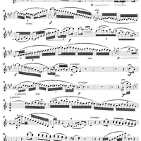 Violin Concerto No. 12 in A Major, Op. 79 - Violin