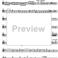 Fantasia di giovani leoni (Phantasy of the young lion) - Cello 2