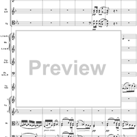 Violin Concerto No. 1, Movement 2 - Score