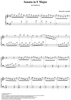 Sonata in F major - K317/P258/L66
