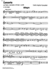Concerto - Violin 2