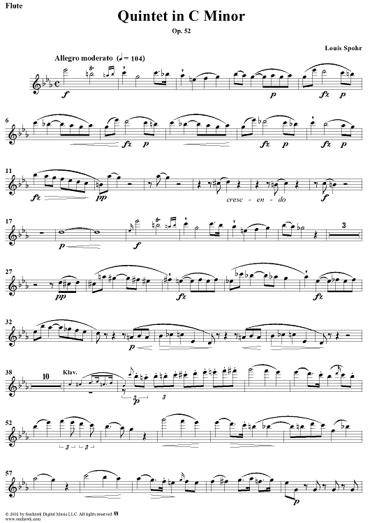 Quintet in C Minor - Flute