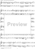 Concerto in E Minor Op. 37 no. 6 - Oboe & Bassoon