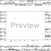 String Quartet No. 13, Movement 3 - Score