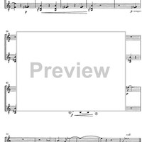 Temps de Lluna - Score