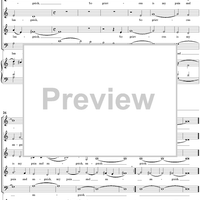 Those Sweet Delightful Lilies