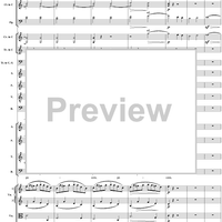 Mass in C Major, No. 6: Agnus Dei - Full Score