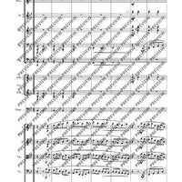 Variations On A Theme Of Haydn - Full Score
