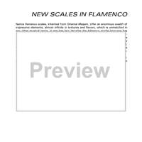 Flamenco Improvisation: Vol. 3