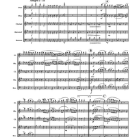 Turkey in the Straw - Score