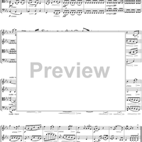 String Quartet No. 13, Movement 5 - Score