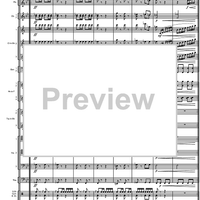 Final Galop from the Guard of Amager - Score