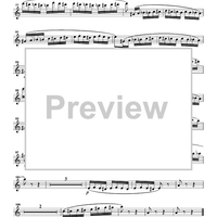 The Flight of the Bumblebee from the opera "Tsar Sultan" - Flute