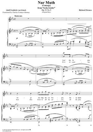 Six Lieder, Op. 17, No. 5: Nur Muth! (Courage!)