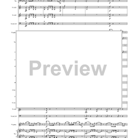 Violin Concerto in E Minor, Movement 3 - Full Score