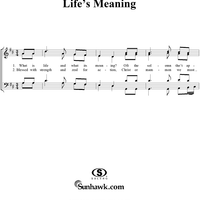 Life's Meaning