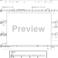 Sheena Is a Punk Rocker